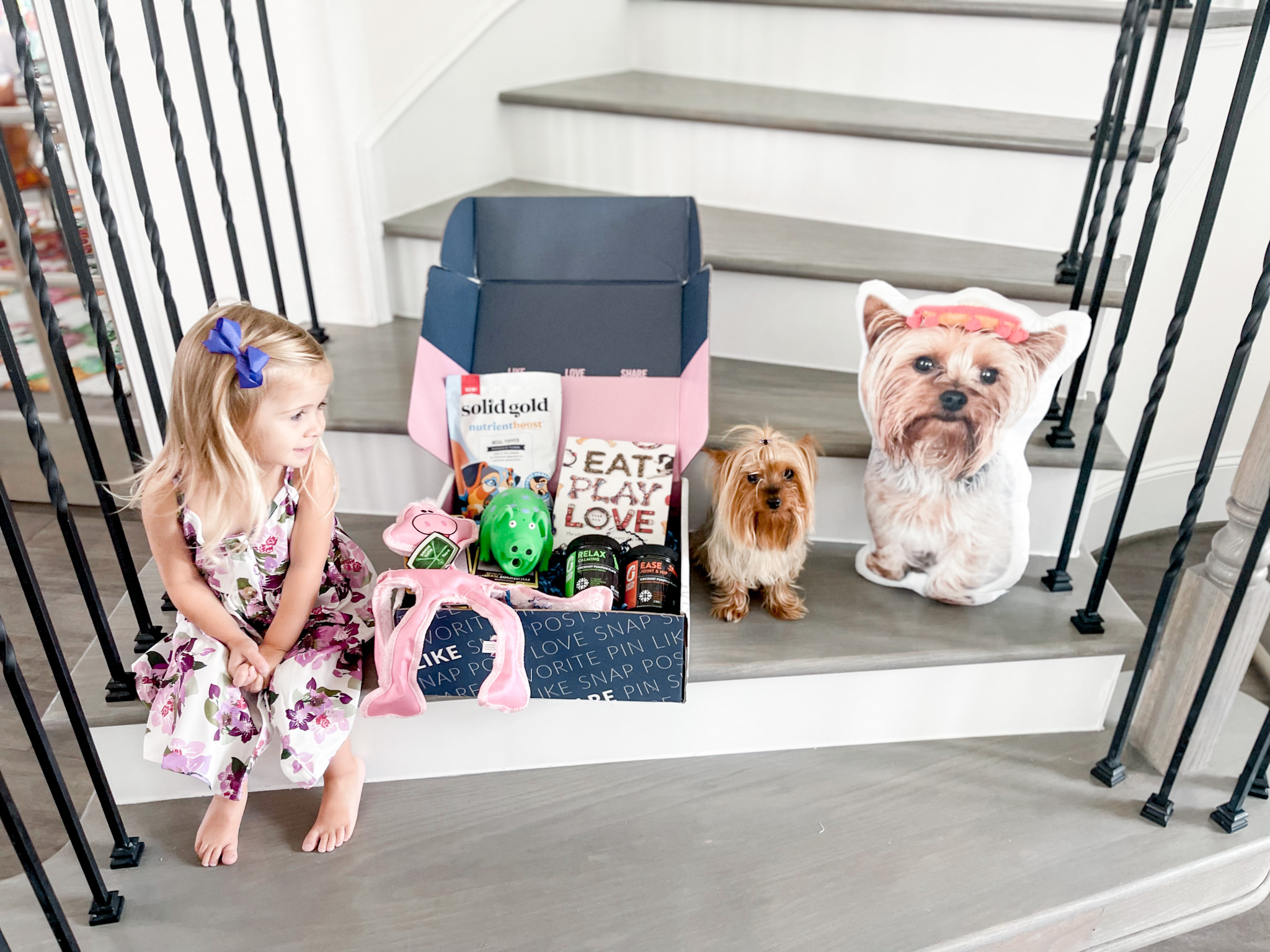 Little Me And Free | Perfect Presents For Pet Parents And Their Pets